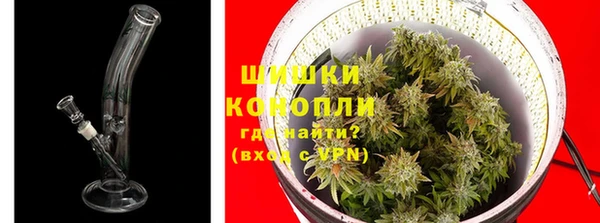 метадон Белокуриха