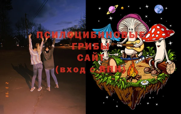 метадон Белокуриха
