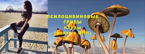 метадон Белокуриха